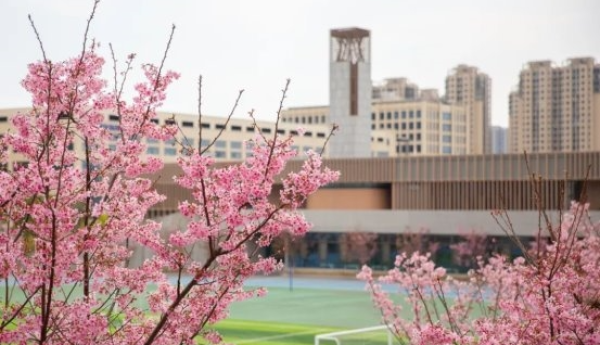 温州教育新力量！名校长寿德履新海亮慧中公学，打造浙南名校